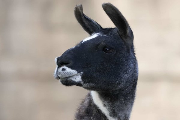 Les bénéfices insoupçonnés des rencontres fortuites dans nos vies