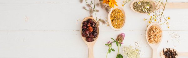 Trouver un bon naturopathe : où et comment ?