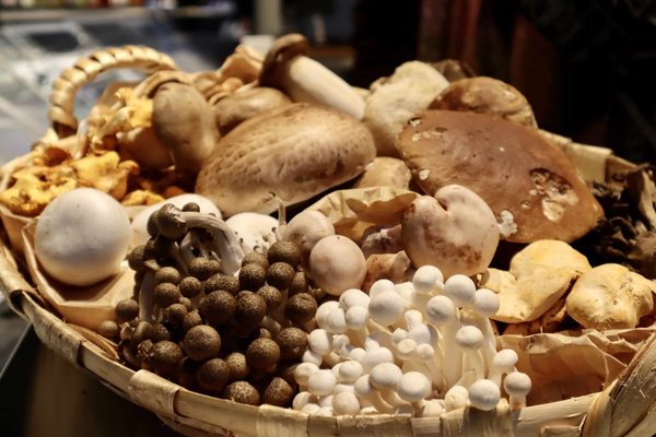 Quel PC Bureau choisir 2022 ?